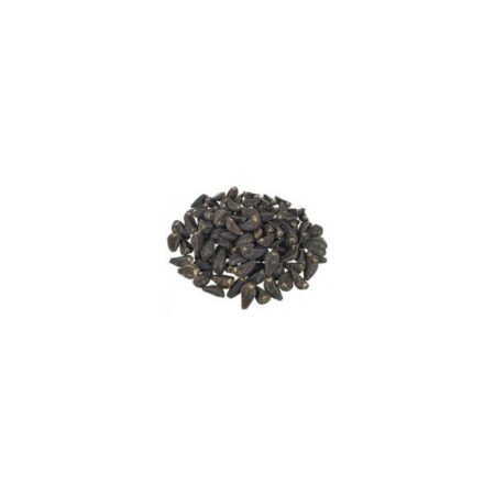 Купить Акуамма, семена (Akuamma, Picralima Nitida seeds)